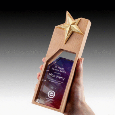 Personalized Business Gift Gold Star Wooden Plaque Crystal Trophy